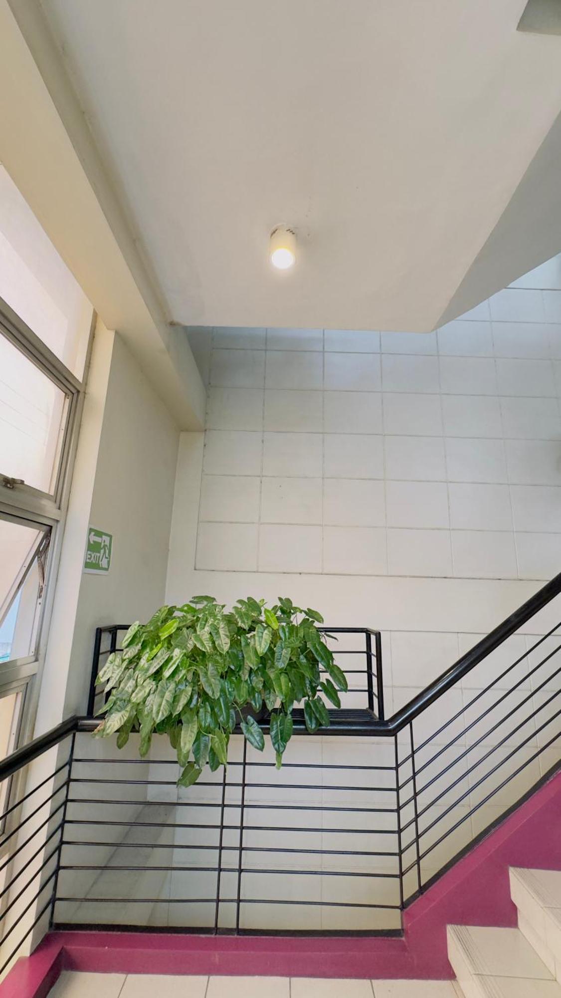Davao City La Anclar Hotel מראה חיצוני תמונה